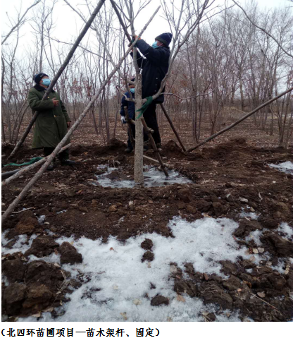 ��Ȧ(�й���)�������ǲ�!