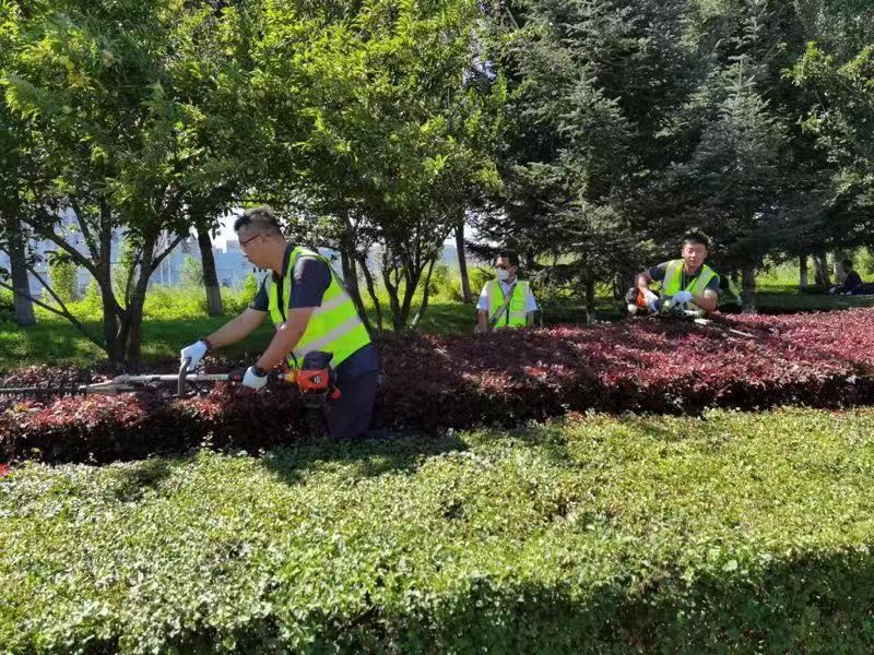 ��Ȧ(�й���)�������ǲ�!