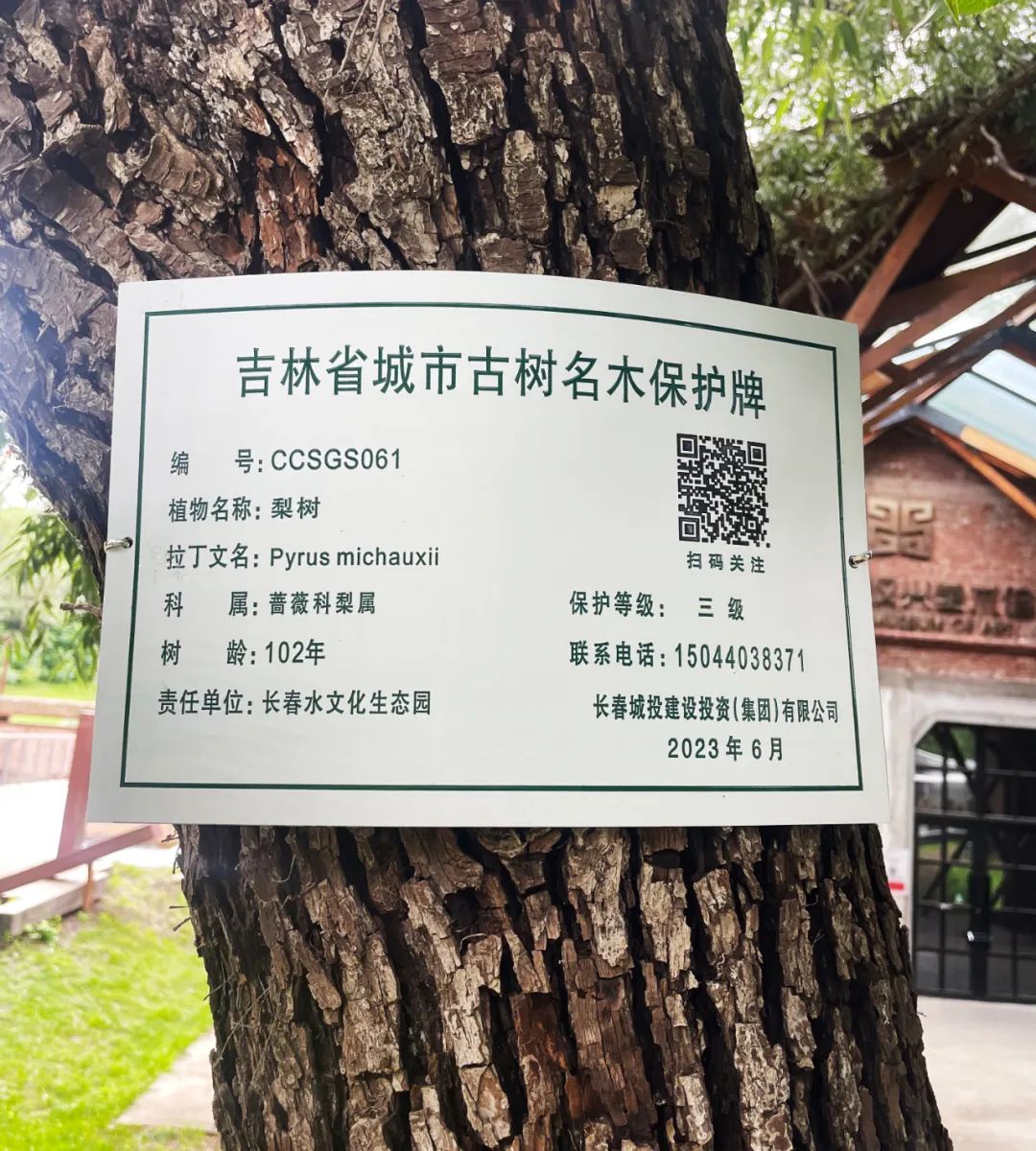 ��Ȧ(�й���)�������ǲ�!