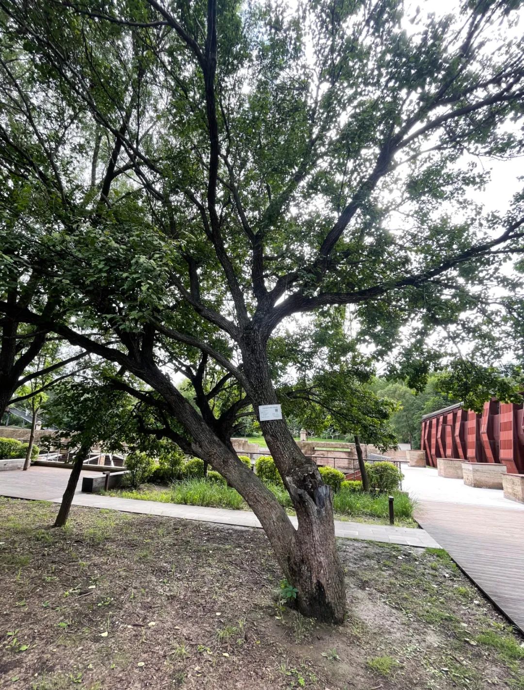 ��Ȧ(�й���)�������ǲ�!